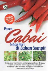 Panen Cabai Setiap Hari Di Lahan Sempit