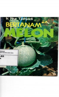 Bertanam Melon