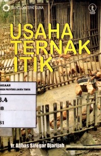 Usaha Ternak Itik