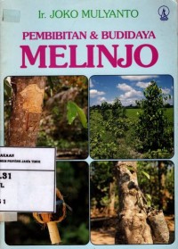 Pembibitan & Budidaya Melinjo